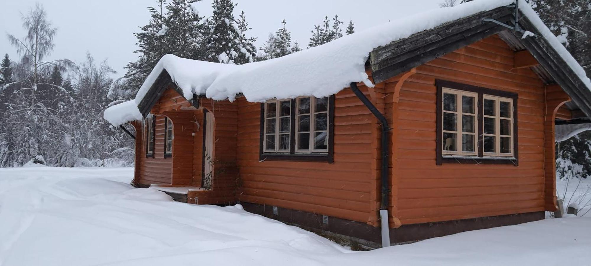 B&B Camp Aengra Lassekrog Exterior foto